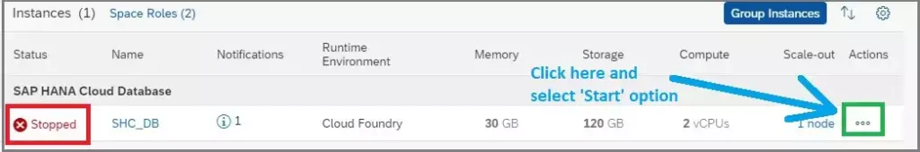 Check status of SAP HANA Cloud Database instance