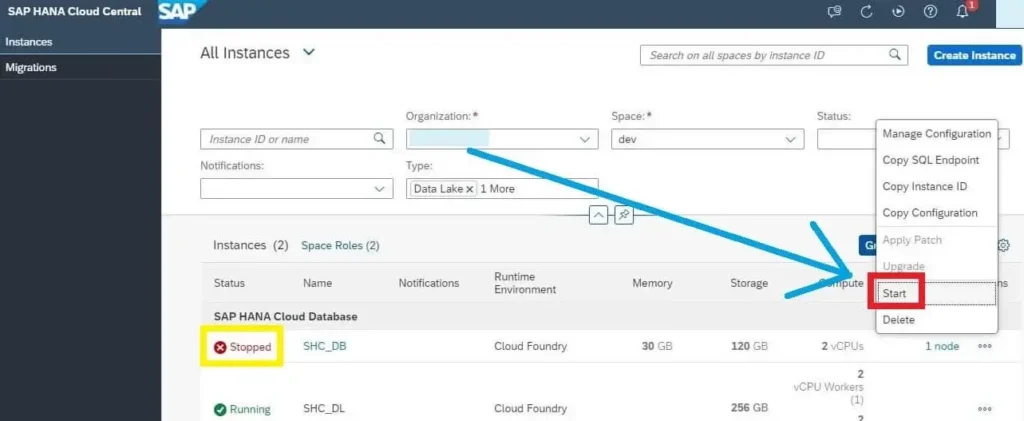 Create SAP HANA Cloud Instance Start