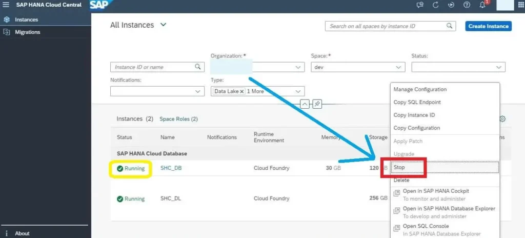 Create SAP HANA Cloud Instance Stop