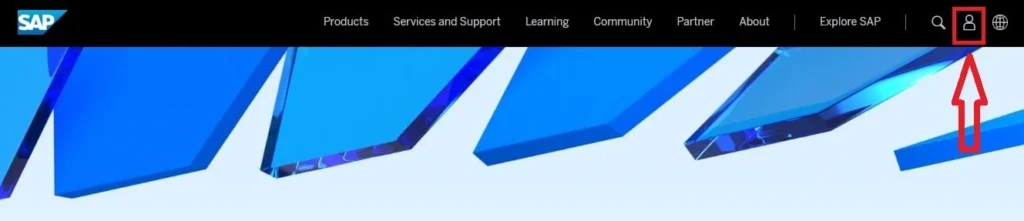 Login to SAP