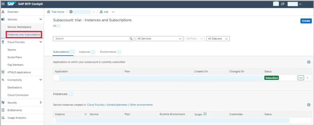 SAP BTP Instances and Subscriptions