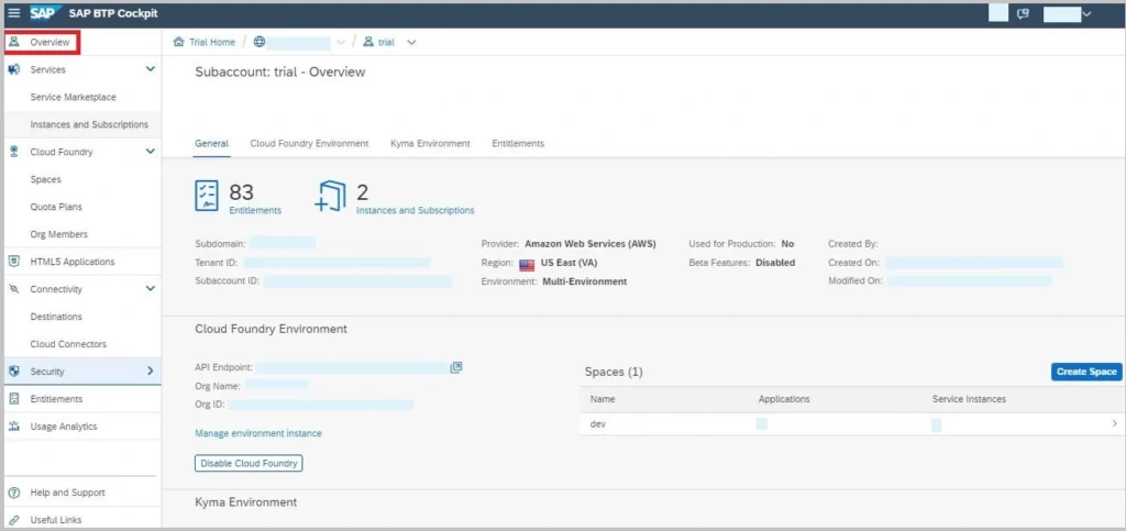 SAP BTP Subaccount Overview